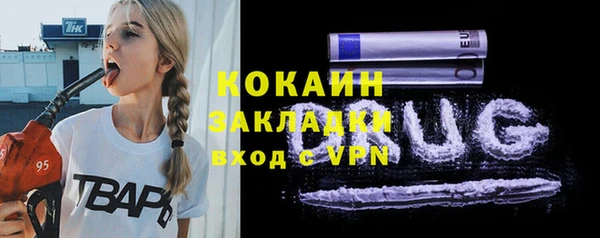винт Болотное