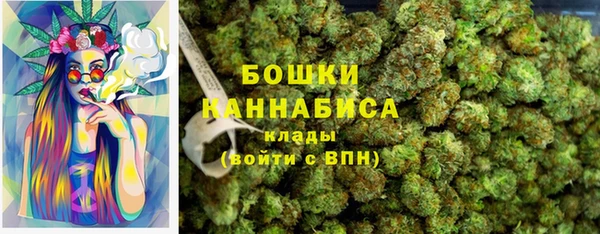бошки Нея