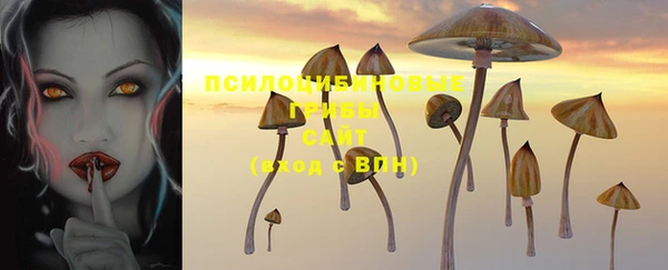 apvp Болохово