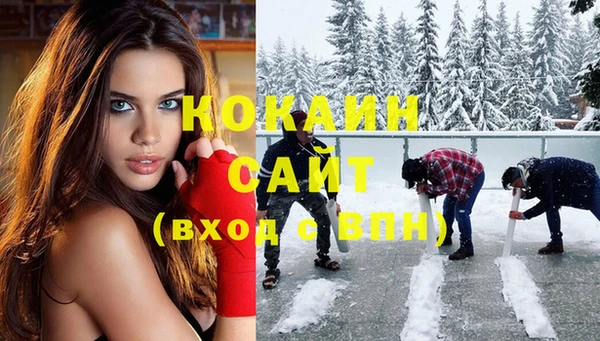 винт Болотное
