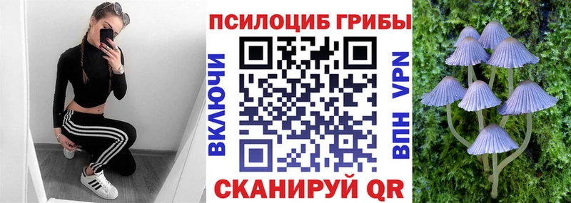 kraken вход Юрьев-Польский Галлюциногенные грибы Psilocybe дарнет шоп